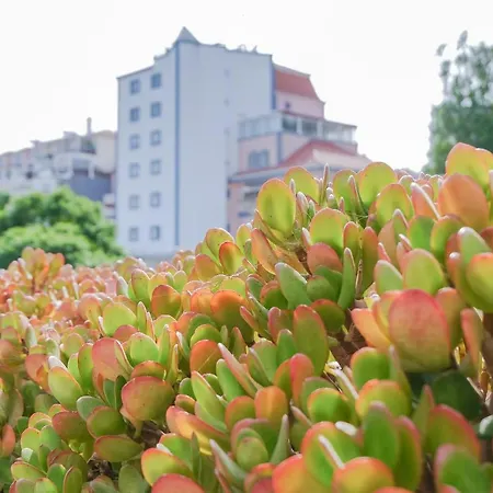Cacao Estoril Apartment Zewnętrze zdjęcie
